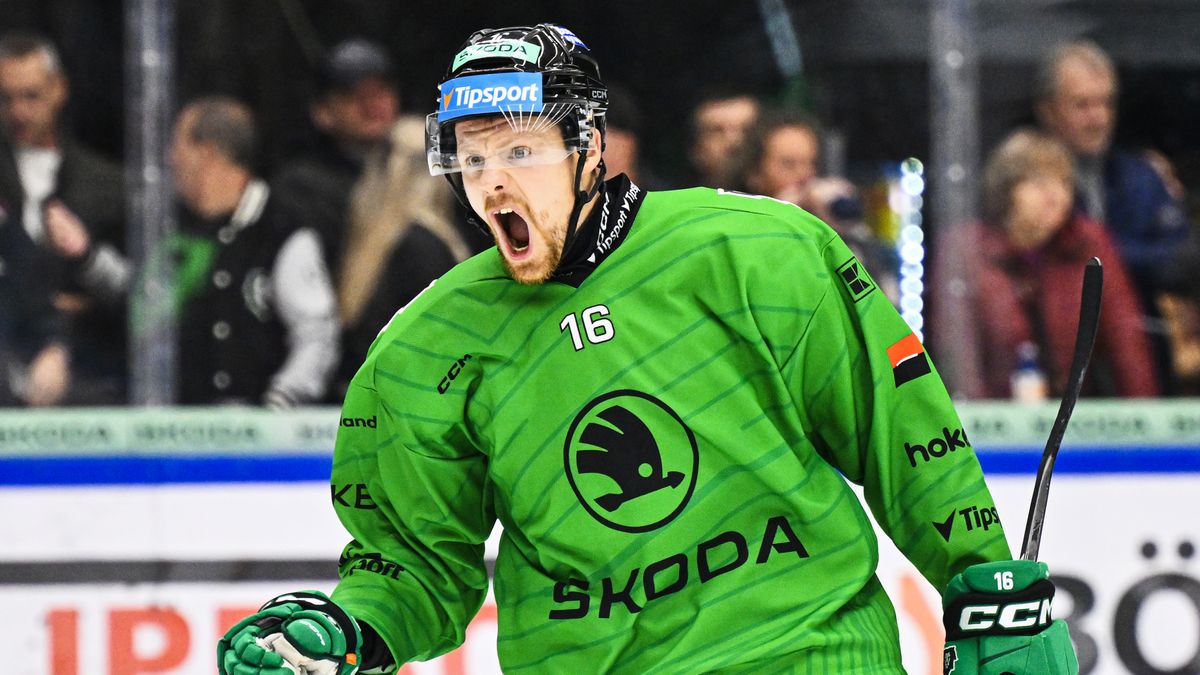 Gríger o vyhozených trenérech: Byli skvělí, ale za nás na ledě to neodehrají. Semkli jsme se